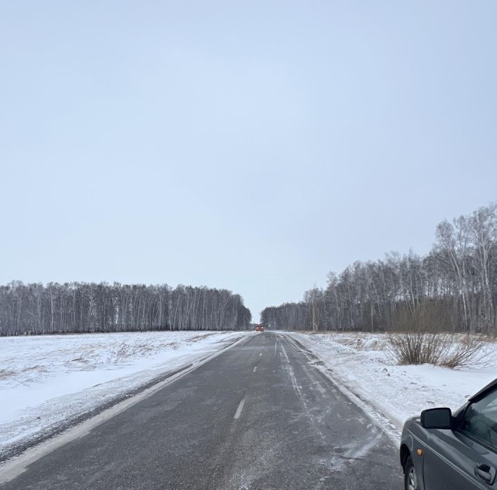 дом р-н Новосибирский с Новошилово ул Березовая Ярковский сельсовет фото 4