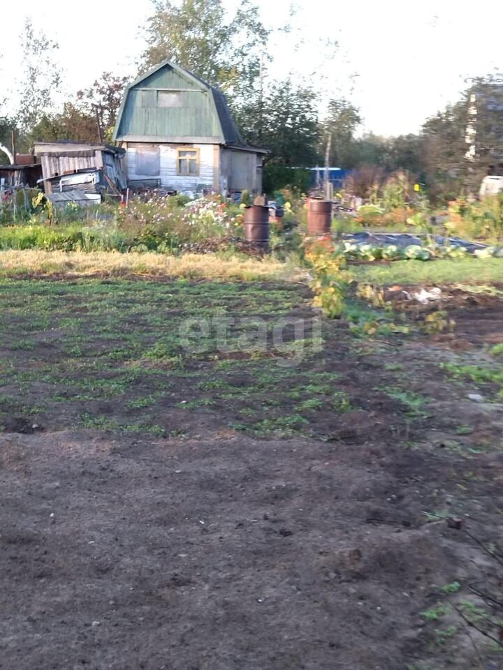 земля р-н Комсомольский снт Галичное Виноградная улица, Комсомольск-на-Амуре фото 11