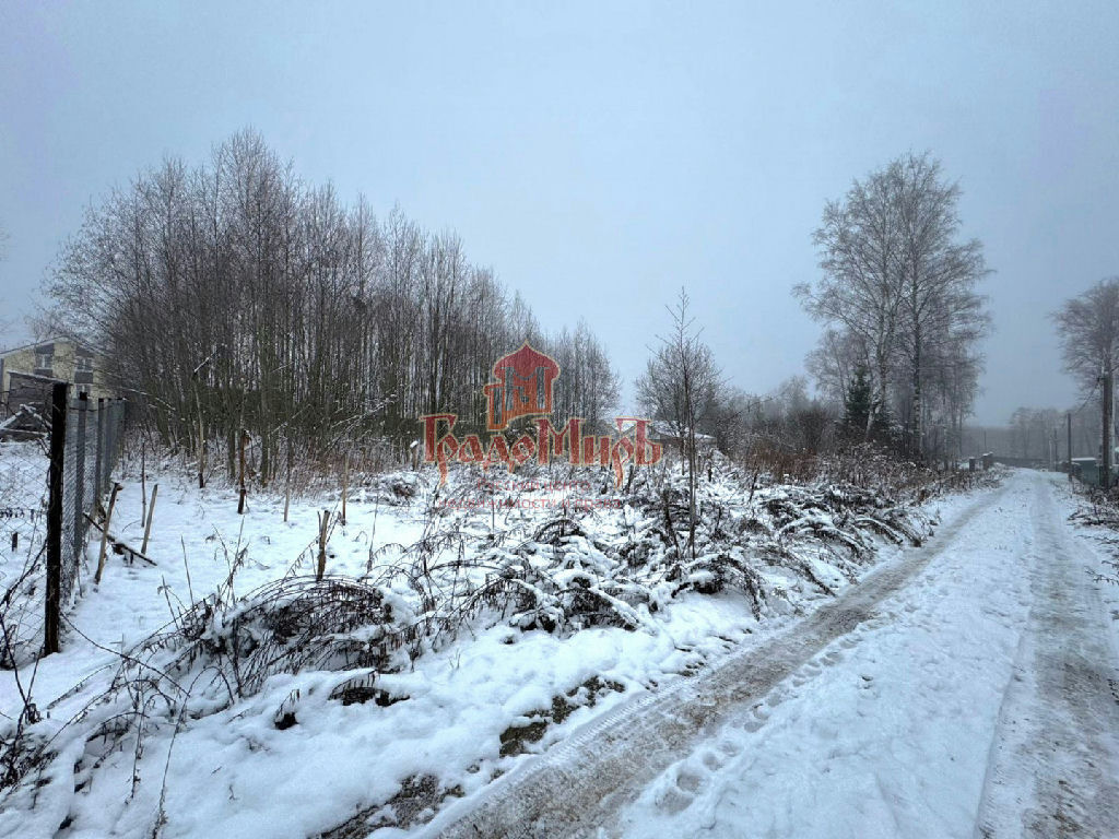 земля городской округ Дмитровский д Сергейково фото 4