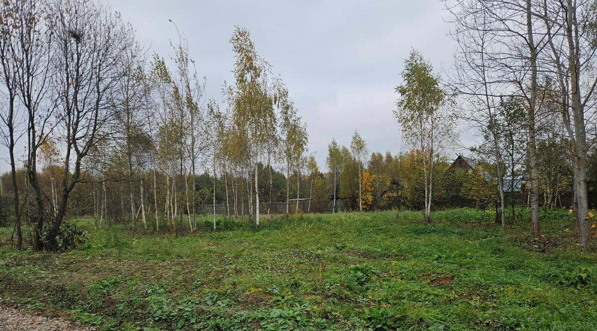 земля городской округ Солнечногорск д Шевлино фото 1