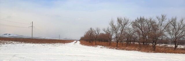 с Черное Озеро ул Озерная фото