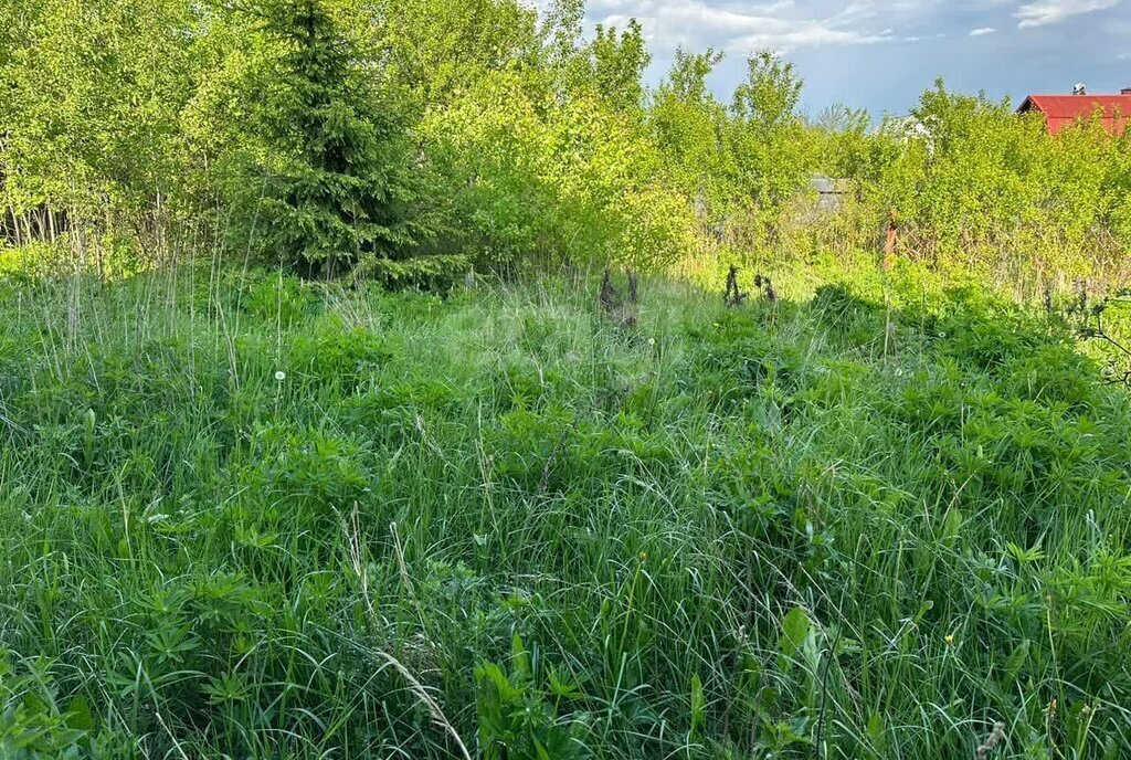 земля городской округ Солнечногорск д Шемякино Подрезково, 9, городской округ Химки фото 5