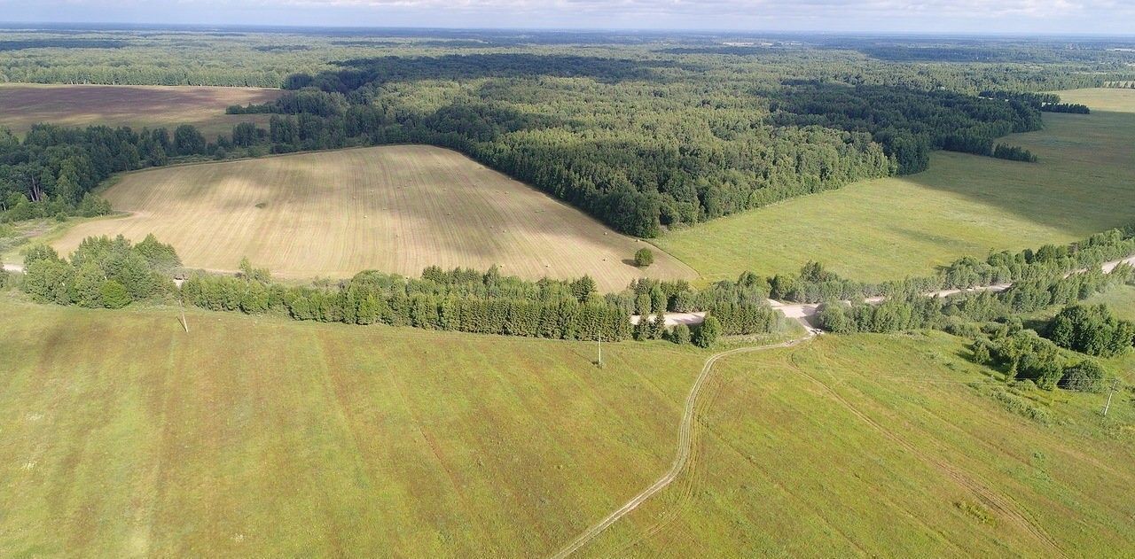 земля р-н Зубцовский д Борщево фото 3