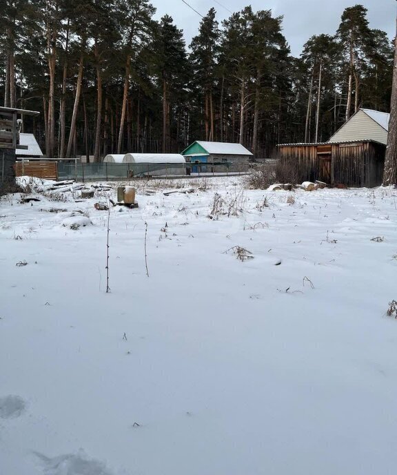 дом р-н Новосибирский п Зеленый Мыс ул Лесная 3 Кубовинский сельсовет фото 10