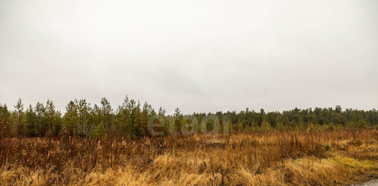 земля г Сургут снт Автомобилист-1 потребительский садово-огороднический кооператив фото 6