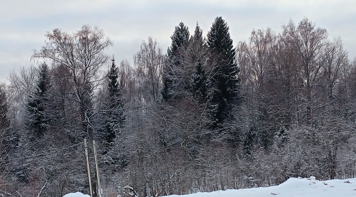 земля городской округ Истра д Леоново фото 15