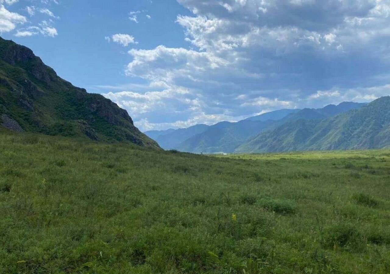 земля р-н Чемальский с Эдиган ул Подгорная Онгудай фото 7