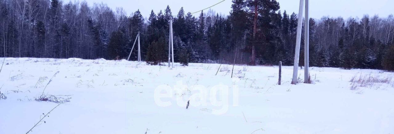 дом р-н Нижнетавдинский с Тюнево ул Сибирская фото 2