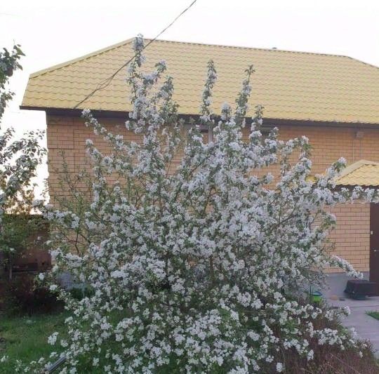 дом р-н Тюменский д Патрушева ул Трактовая фото 14