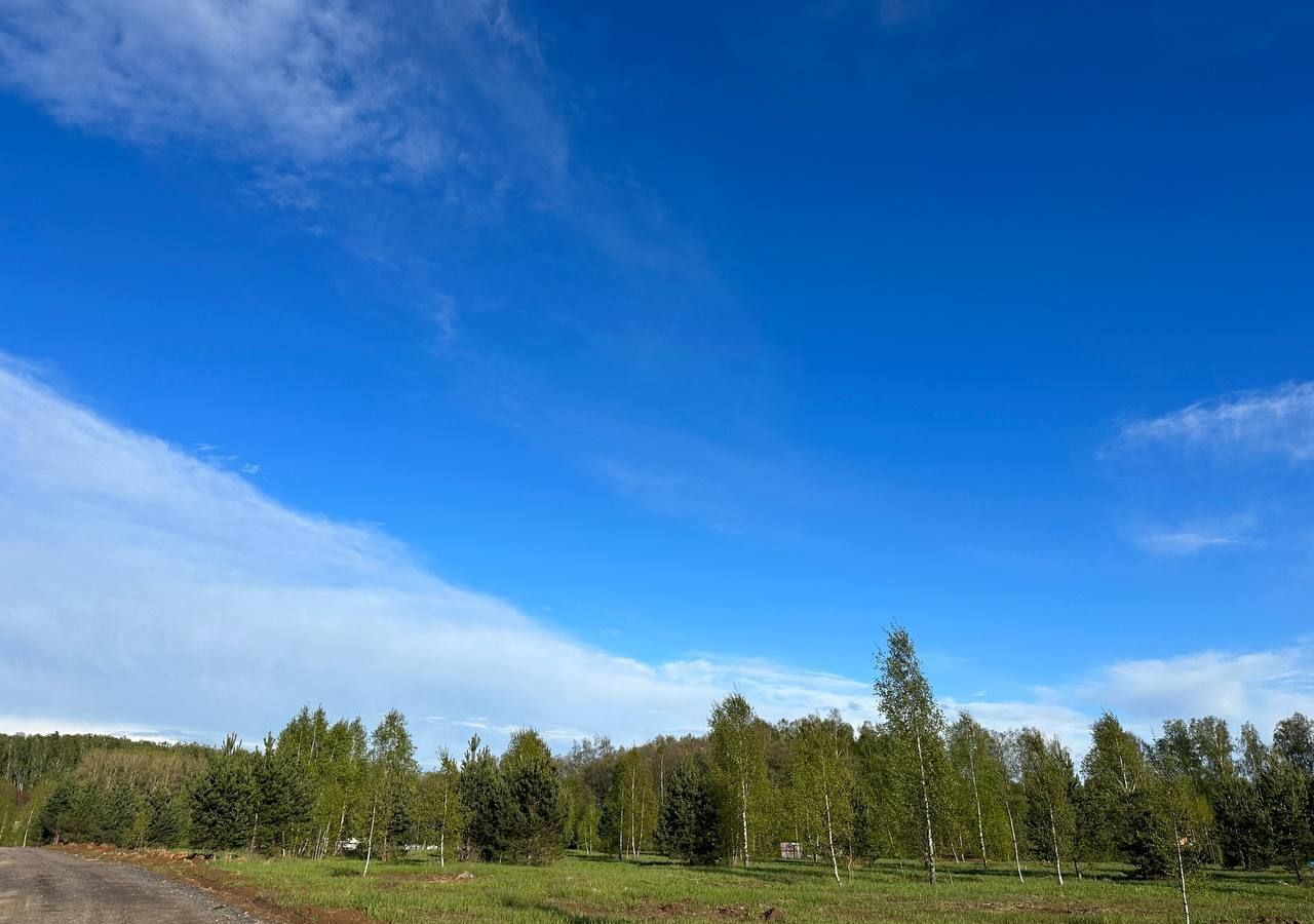 земля городской округ Раменский д Тяжино ул Клубничная 31 км, Бронницы, Рязанское шоссе фото 3