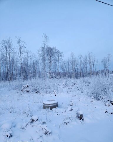 дачное некоммерческое товарищество Алмаз, Архангельск фото