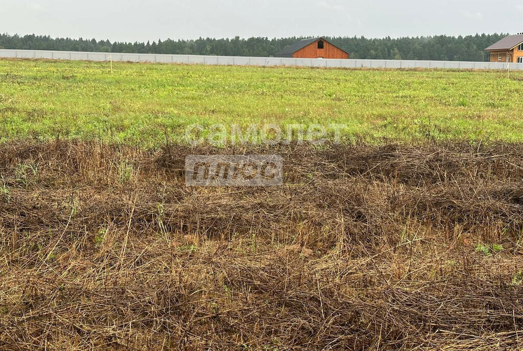 земля городской округ Домодедово д Одинцово территория Бор фото 4