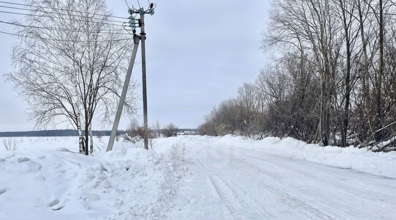 земля р-н Лаишевский с Бима ул Центральная Егорьевское с/пос фото 3