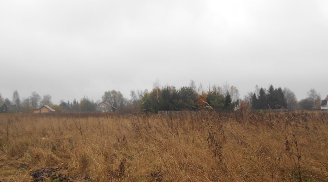 офис городской округ Шаховская д Лукошкино ул Центральная фото 1