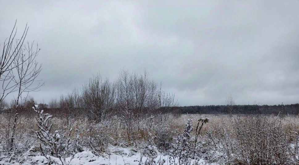 офис городской округ Дмитровский д Усть-Пристань фото 1