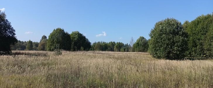 офис городской округ Дмитровский д Богданово фото 1