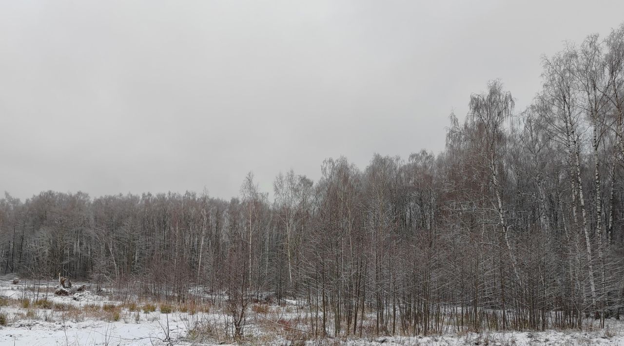 офис городской округ Чехов д Пешково фото 1