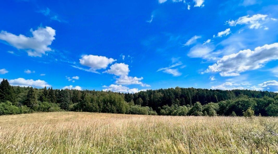 земля городской округ Сергиево-Посадский д Ахтырка Комсомольская фото 11