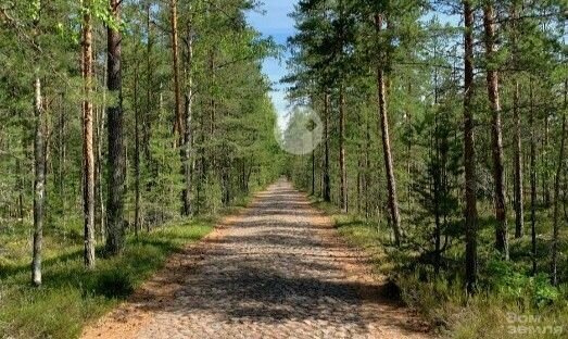 земля р-н Кингисеппский д Калливере ул Центральная Кузёмкинское сельское поселение фото 15