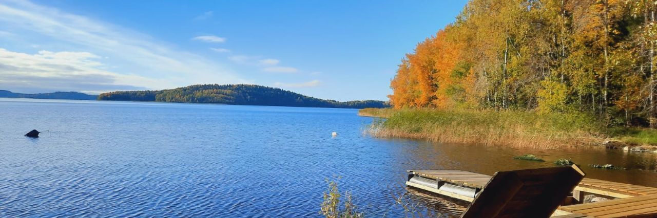 дом р-н Питкярантский д Рауталахти ул Западная 1 фото 25