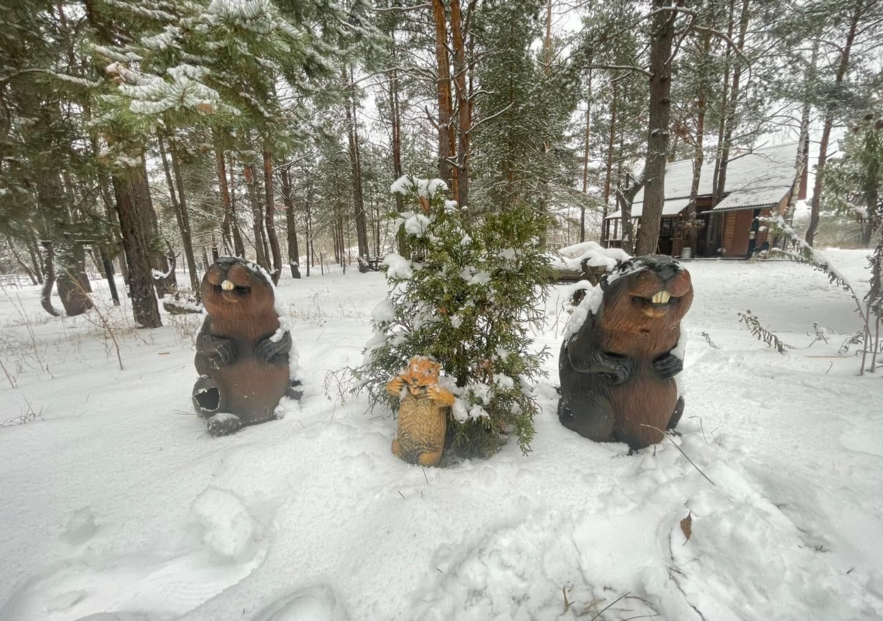 дом г Воронеж р-н Ленинский пл Ленина фото 37