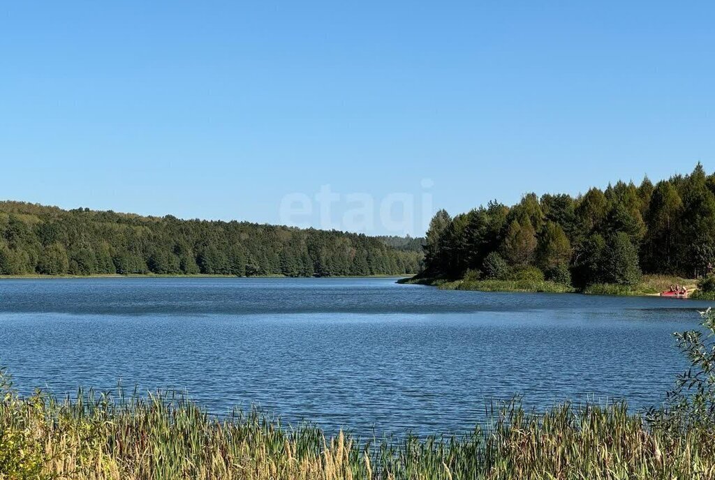 земля р-н Белевский д Боровна сельское поселение Правобережное фото 5