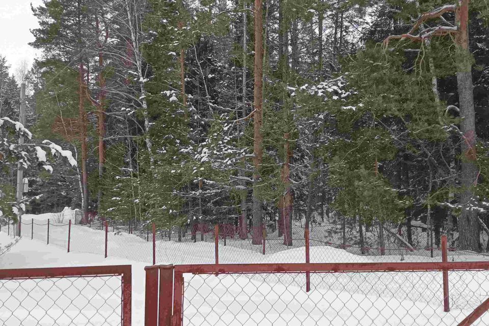 земля городской округ Егорьевск садовое товарищество Мещера-2, 76 фото 1