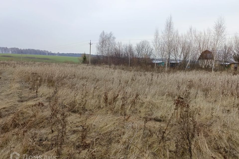 земля городской округ Серебряные Пруды д. Толстые фото 1