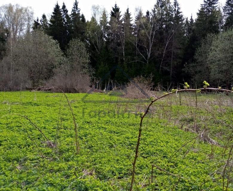 земля городской округ Дмитровский фото 1