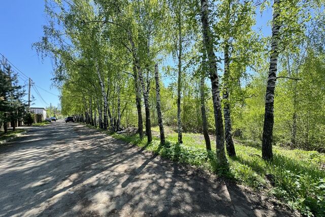 СНТ Мамоновский Овраг фото