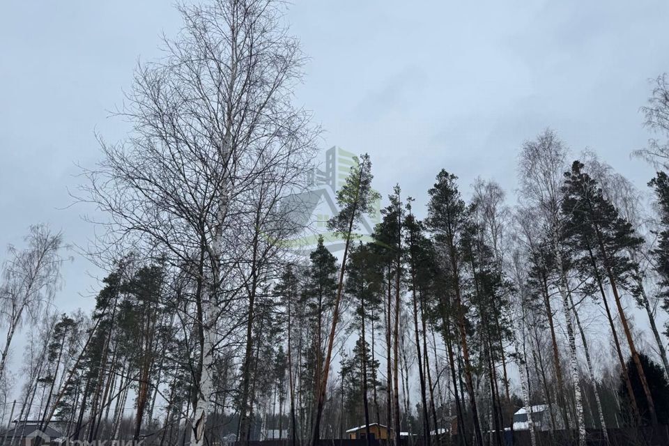 земля городской округ Раменский д. Фенино фото 1