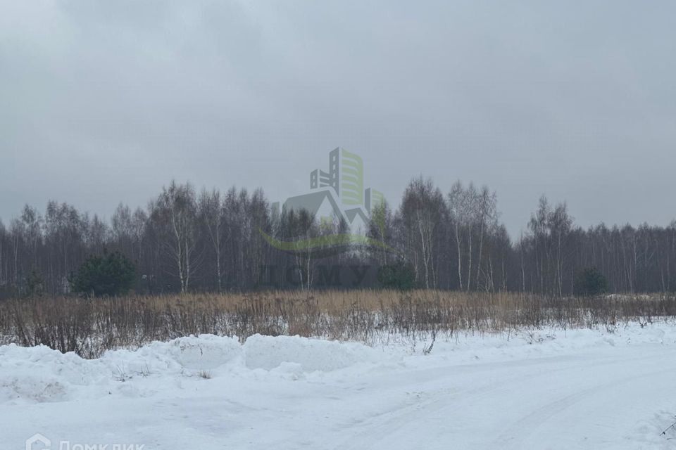 земля городской округ Раменский д. Бахтеево фото 1