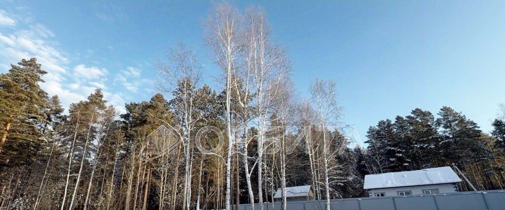 земля р-н Нижнетавдинский с Тюнево ул Южная фото 1