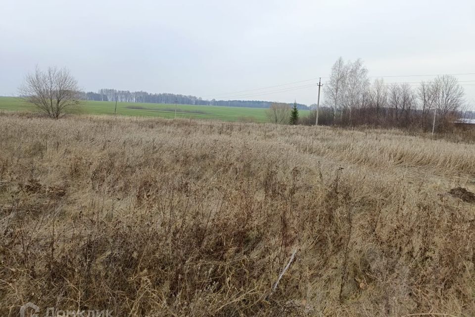 земля городской округ Серебряные Пруды д. Толстые фото 2