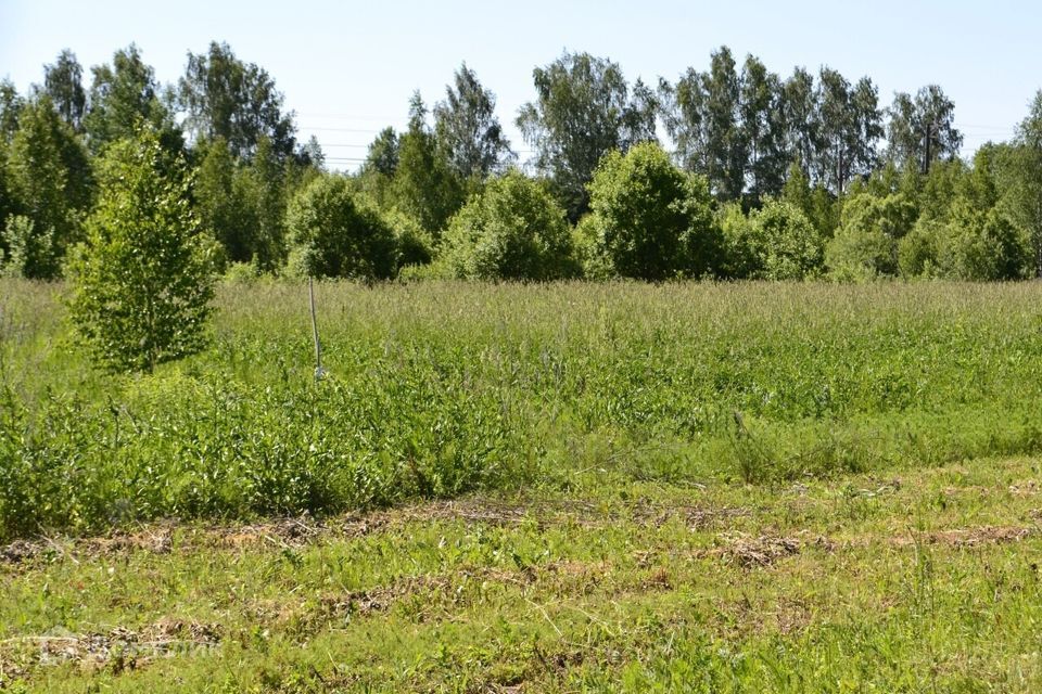 земля городской округ Ступино село Васильевское фото 3