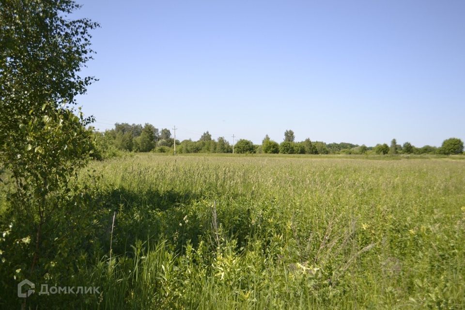 земля городской округ Ступино село Васильевское фото 4