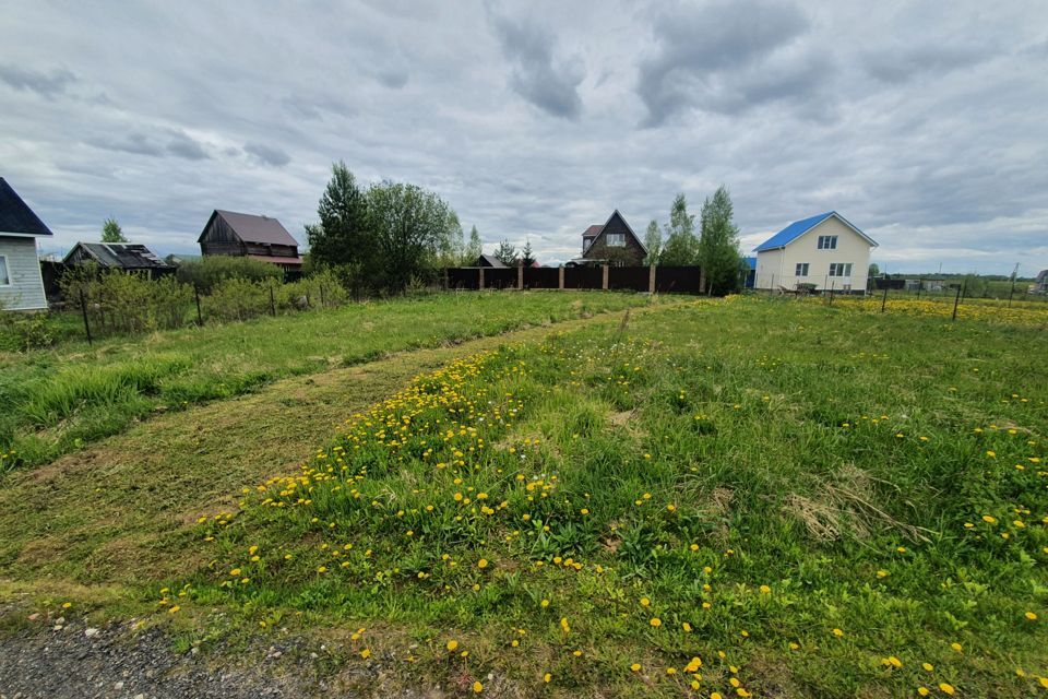 земля городской округ Шаховская д. Судислово фото 4