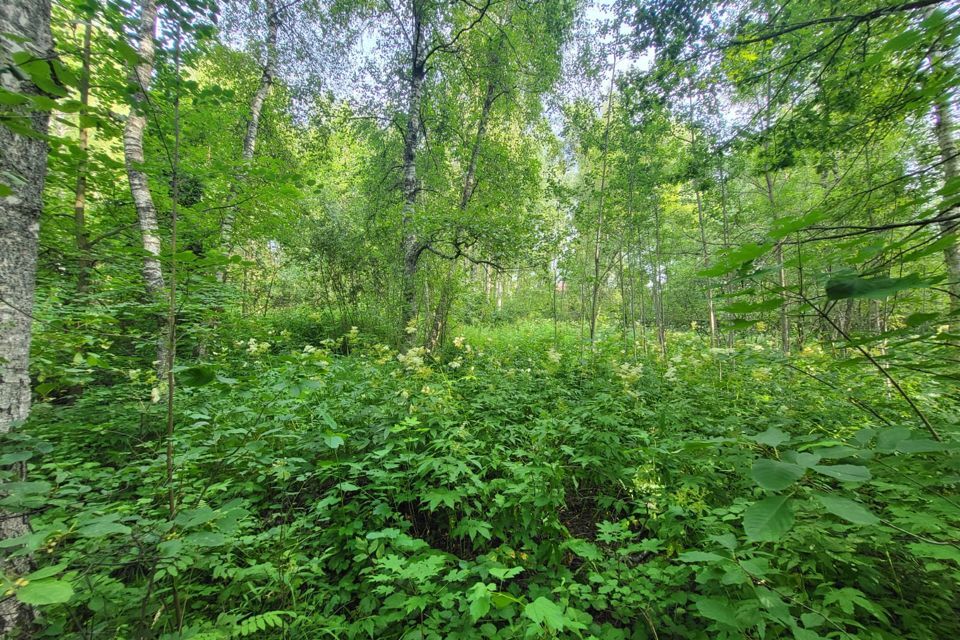 земля городской округ Чехов СНТ Экономика-2 фото 3