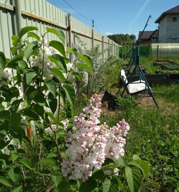 дом городской округ Раменский ДНТ Старая Мельница-2 фото 3