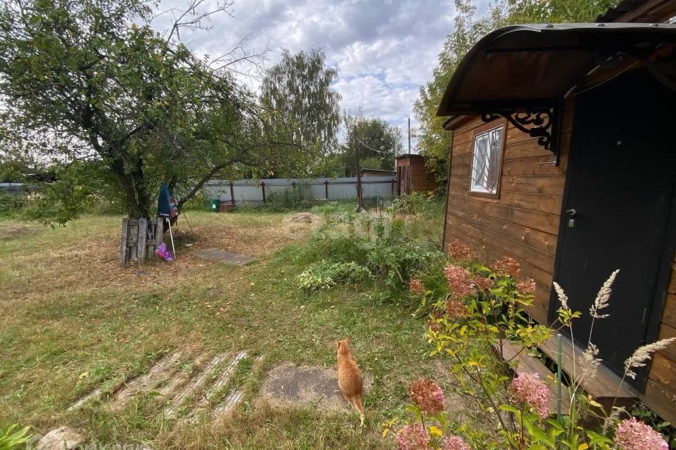 земля городской округ Орехово-Зуевский п Тополиный снт Текстильщик-3 399 фото 4