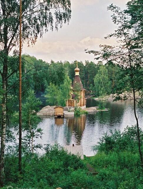 земля р-н Приозерский Васильево фото 2