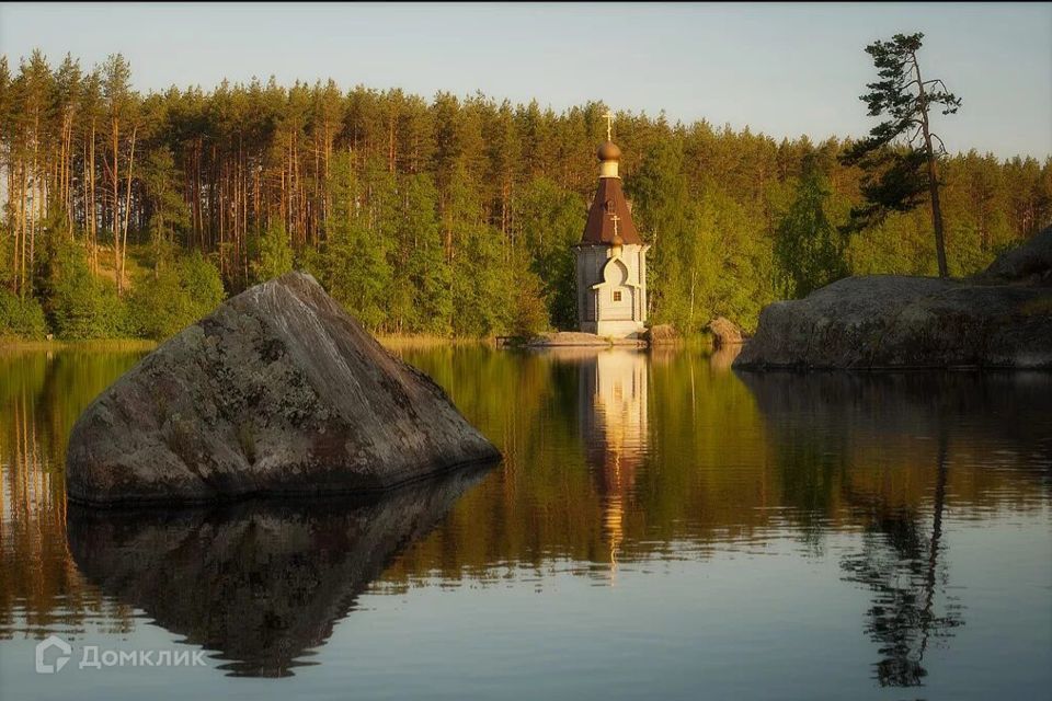 земля р-н Приозерский Васильево фото 4