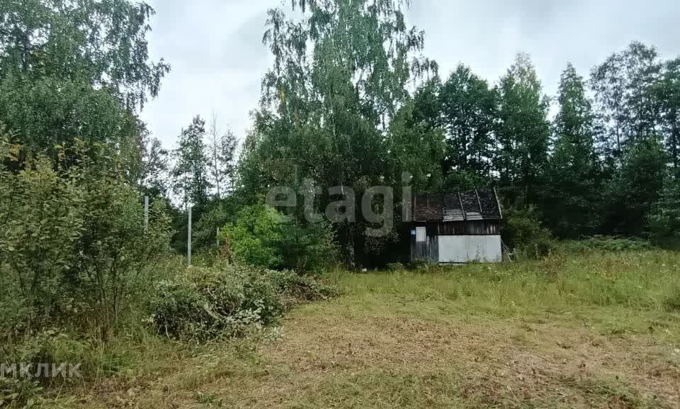 земля городской округ Орехово-Зуевский п Тополиный снт тер.Сажени 73 фото 3