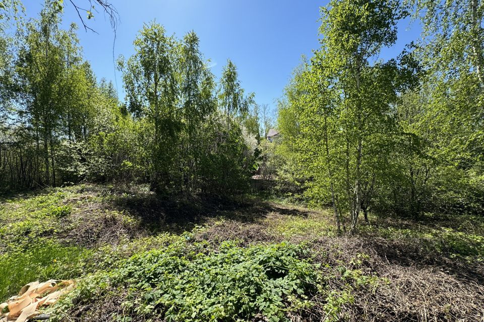 земля городской округ Ленинский СНТ Мамоновский Овраг фото 2