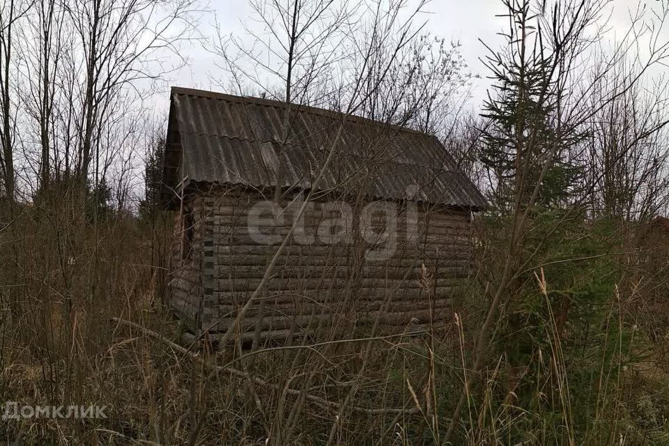 земля р-н Приозерский садоводческое некоммерческое товарищество Ленинградского оптико-механического объединения-2, 8-я линия фото 2