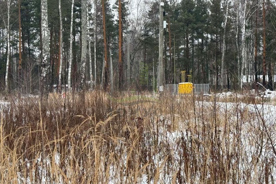 земля городской округ Раменский д. Фенино фото 2