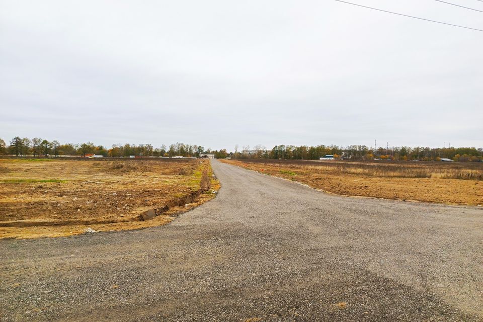 земля городской округ Пушкинский с. Братовщина фото 2