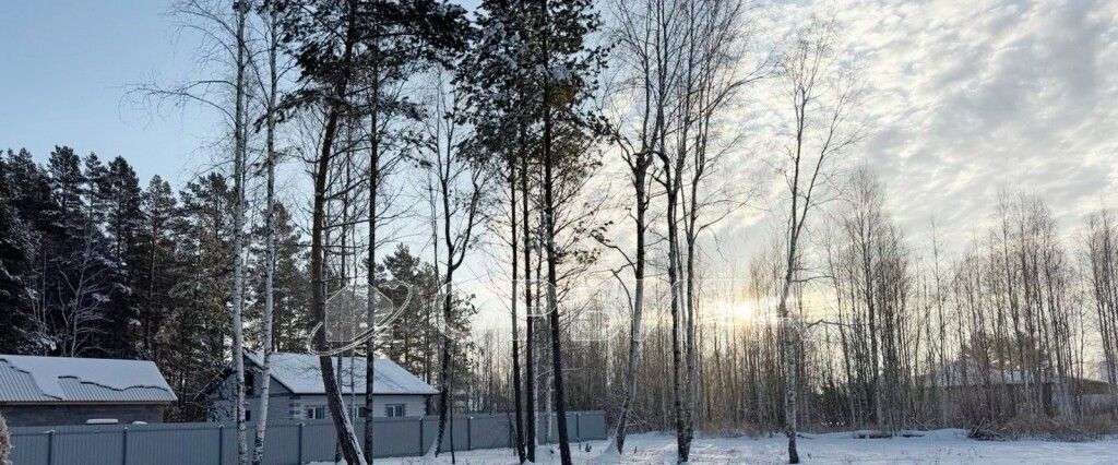 земля р-н Нижнетавдинский с Тюнево ул Южная фото 2