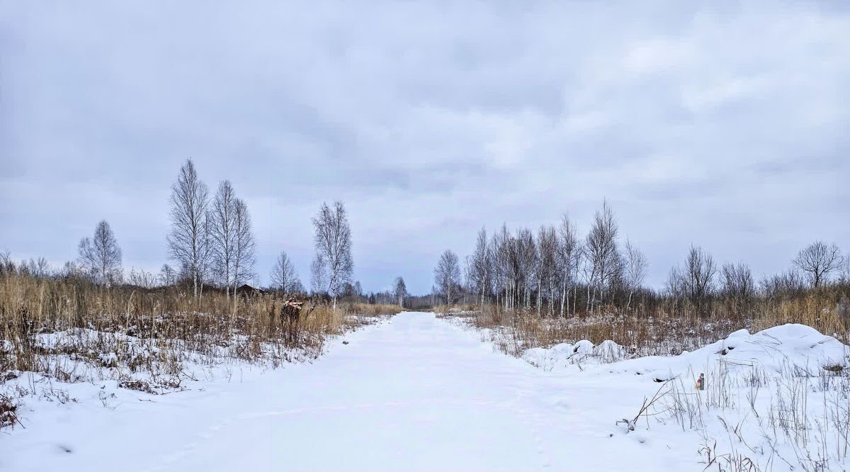 земля г Тюмень снт Приозерное Тюневское с/пос, ДНТ, Нижнетавдинский район фото 3