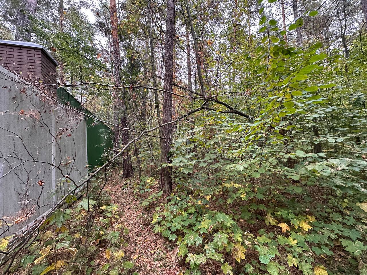 земля городской округ Одинцовский п Москворецкого Леспаркхоза Одинцово г, Минское шоссе фото 16